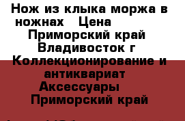 Нож из клыка моржа в ножнах › Цена ­ 10 000 - Приморский край, Владивосток г. Коллекционирование и антиквариат » Аксессуары   . Приморский край